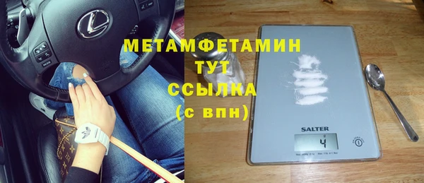 ПСИЛОЦИБИНОВЫЕ ГРИБЫ Абаза