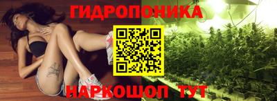 ГАЛЛЮЦИНОГЕННЫЕ ГРИБЫ Гусь-Хрустальный