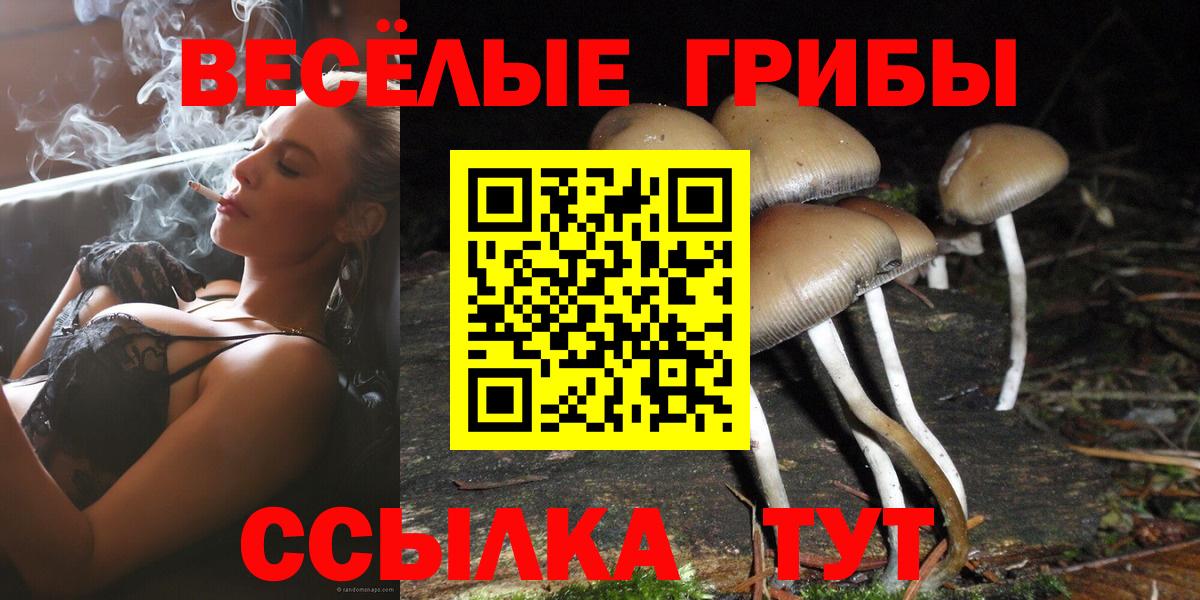 Псилоцибиновые грибы MAGIC MUSHROOMS  Вход с VPN  Луга  Псилоцибиновые грибы прущие грибы 